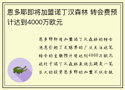 恩多耶即将加盟诺丁汉森林 转会费预计达到4000万欧元